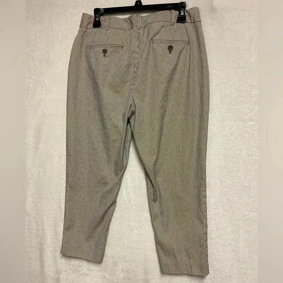 Talbots Curvy Petite Women’s Pants Size 10P‎ - Picture 5 of 8
